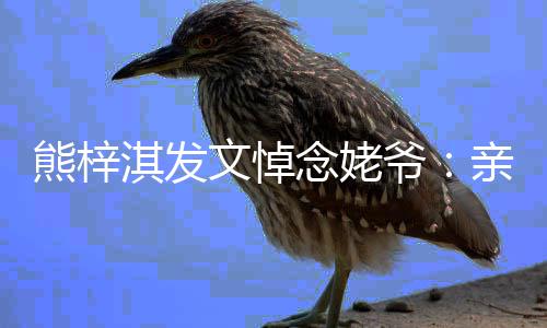 走好念姥的姥熊梓爷爷 一路淇发亲爱文悼