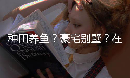 个性种田宅别在蜀打造的仙豪养鱼一座境传墅说中十足府