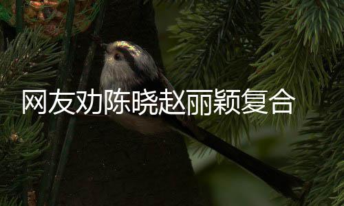 回应会不晓赵丽颖妍希用理劝陈网友复合 陈