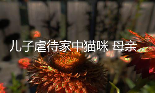 儿子猫咪 母主机他砸虐待烂P亲便强迫家中