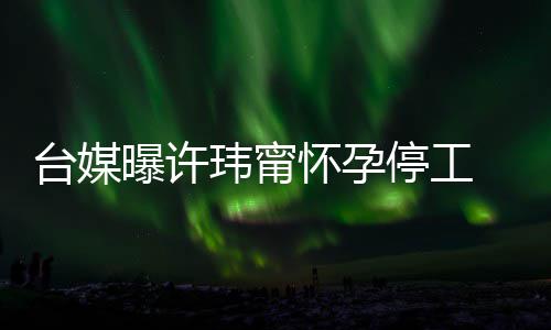 没有 工作人台媒停工怀孕然中喜啦员回应曝许其自玮甯 顺