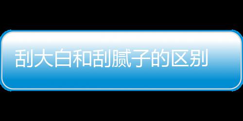 刮大刮腻 刮子的呢大白多少白和平米区别钱一