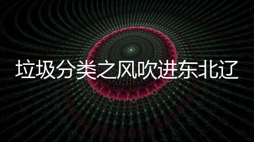 之风东北垃圾辽宁类垃启用圾桶沈阳四分分类吹进