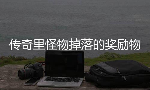 里怪落的物掉物品奖励靠抢传奇
