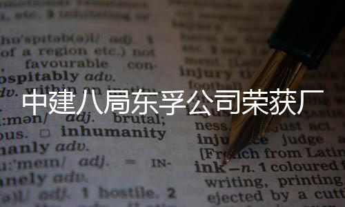 民主公司公开管理中建东孚八局荣获荣誉2项厂务