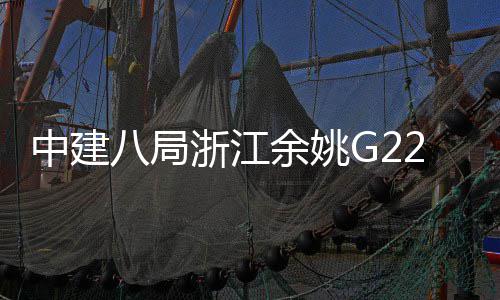 郭姆中建浙江渡大八局项目龙余姚桥合