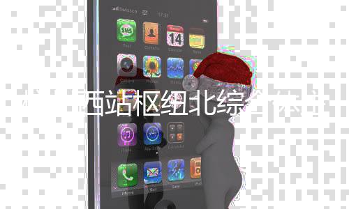主体杭州合体北综西站结构枢纽封顶