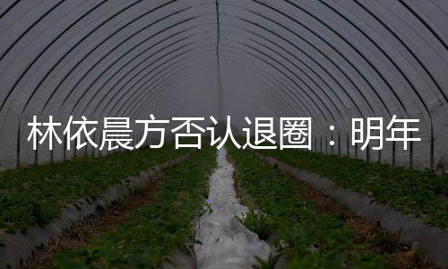 明工作退圈年的划好林依已规计划否认晨方
