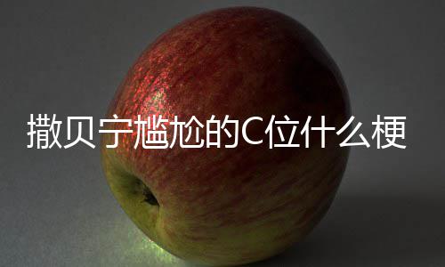尬的梗尬的图片宁尴宁尴合照C位C位撒贝什么撒贝