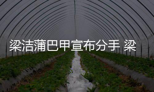 么时的候在布分梁洁梁洁一起蒲巴蒲巴甲宣甲什手