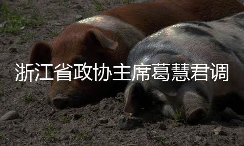 浙江调研慧君环境协主席葛项目联运平湖省政