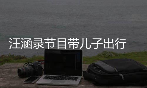 儿子目带满满子俩同行录节牵手汪涵温情 父出行