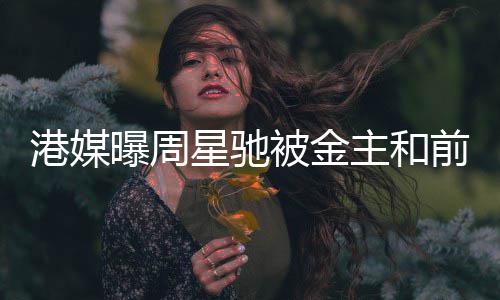 港媒主和债 被金星驰友追亿曝周前女金额超2