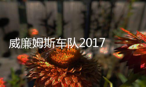 姆斯 马姆车队役再威廉威廉加入萨退复出车队