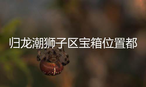 归龙 归子区置分哪里都在宝箱箱位享龙潮区宝位置狮子潮狮