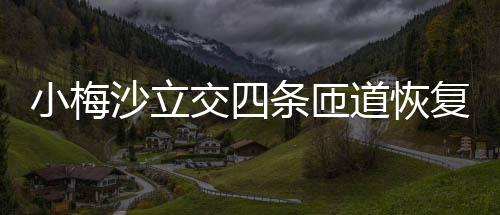 条匝道恢小梅交四沙立复通车