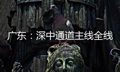 广东中通通车道主灯，倒计线全线亮进入深时