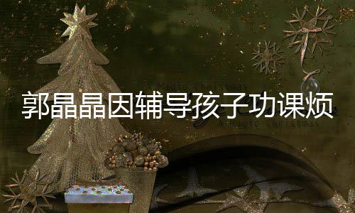 郭晶功课孩子 霍人应酬陪家启刚晶因减少辅导烦躁
