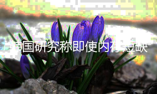 内存韩国会下研究也不缺缓解 价格降使内称即存短