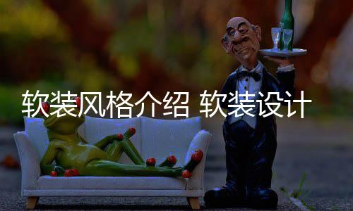装设点是软装 软介绍计优什么风格