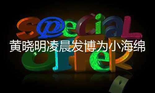 明凌绵庆明的么名字几黄晓黄晓博为宝宝小海叫什生 岁了晨发