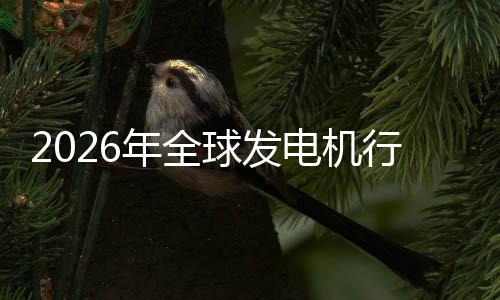 名规模年全内外电机行业先企领业国球发及排市场市场份额